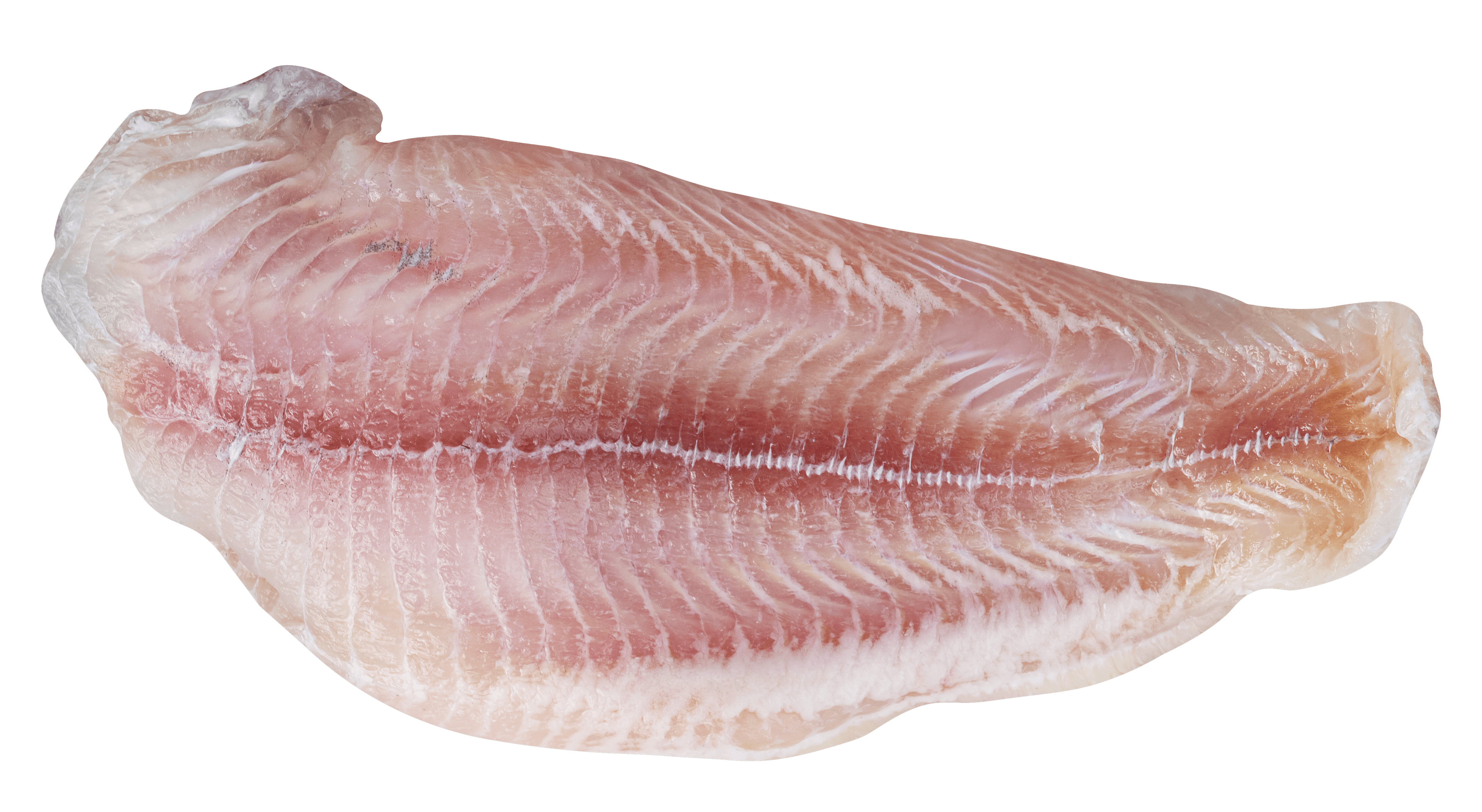 Fish fillets